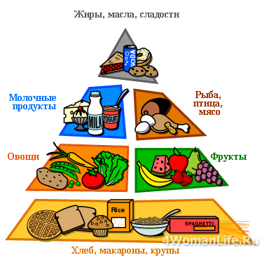 Пирамида питания. Придерживаемся здорового образа жизни