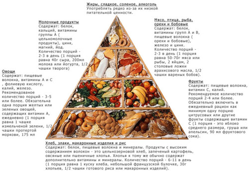  Пирамида <b>питания</b> с данными  гифка анимация