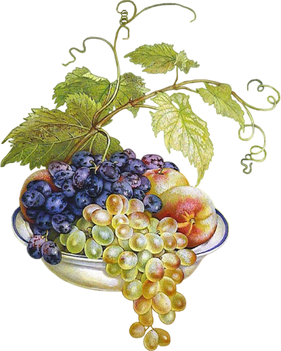 Нарисованный виноград и персики. Оригинальный натюрморт и...