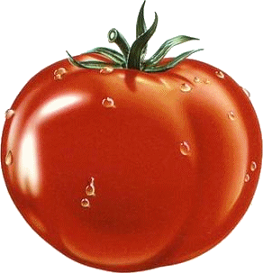 Просто невероятно огромный краснобокий помидор с зеленой ...