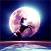 Единорог на фоне ночного неба и луны