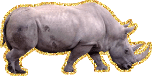 Анимация носорог