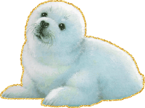 Нарисованный белек - детеныш тюленя