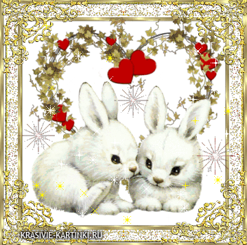 Милейшей наружности белые кролики