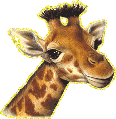 Анимашка красивого рисунка жирафа с огромными добрыми гла...