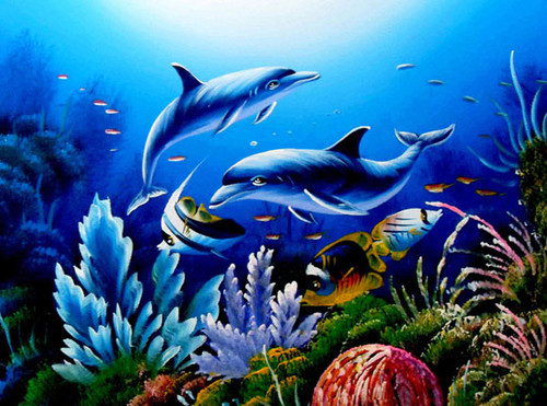 Картинка с резвящимися дельфинами в компании коралловых р...