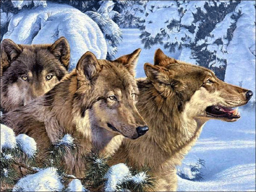 Нарисованные волки в лесу зимой