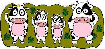 Движущаяся анимация со смешными коровами