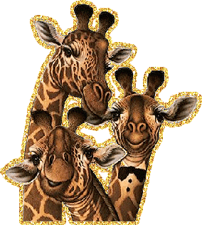 Дружная семья жирафов - мама и два ребёнка