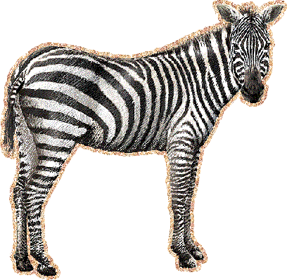 Анимированная нарисованная зебра