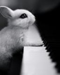 Зайчик сидит за пианино