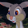 Кролик  из мультфильма бэмби шевелит носом