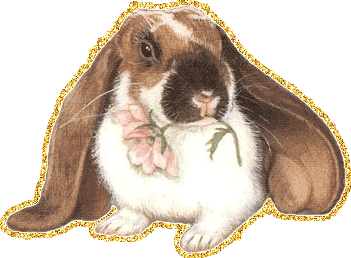 Вислоухий кролик с цветком