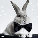  Кролик с <b>черной</b> бабочкой сидит в <b>черной</b> шляпе  гифка анимация