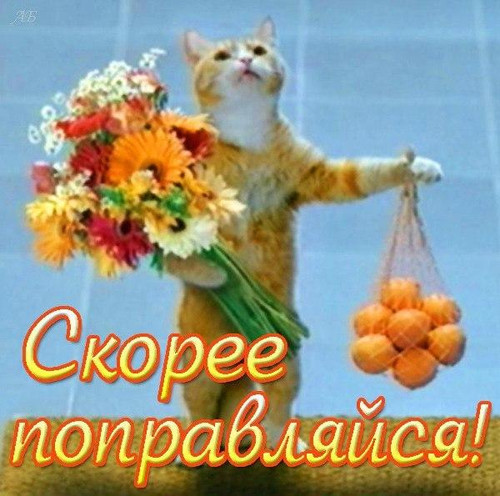 Открытки. Скорее поправляйся