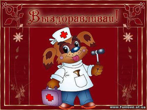 Открытки. Выздоравливай! Песик с молоточком