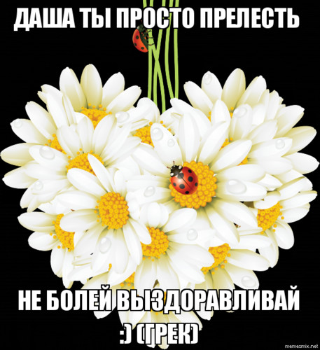 Даша! Выздоравливай!