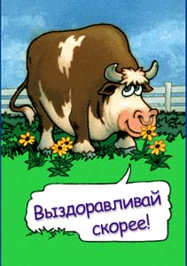 Открытки. Выздоравливай скорее! Бычок