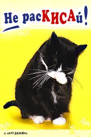 Картинка. Не расКИСАй!