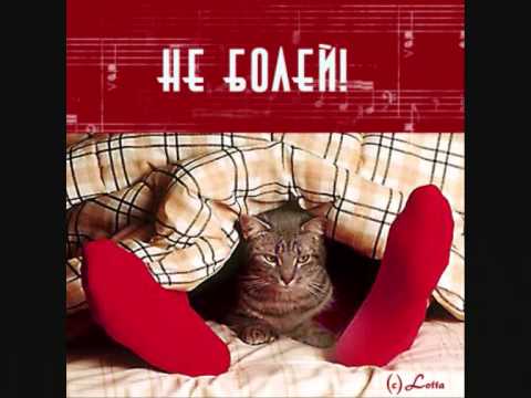 Выздоравливай! Кот под одеялом