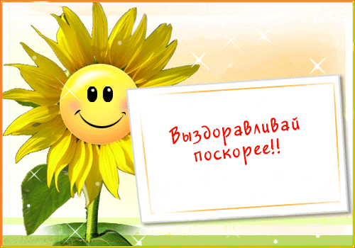 Картинки. Выздоравливай скорей! Подсолнух
