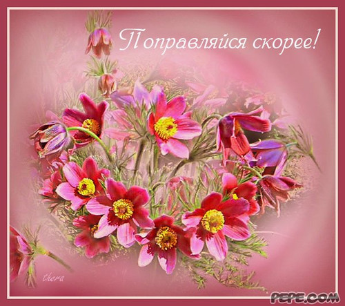 Открытка. Поправляйся скорее! Цветы