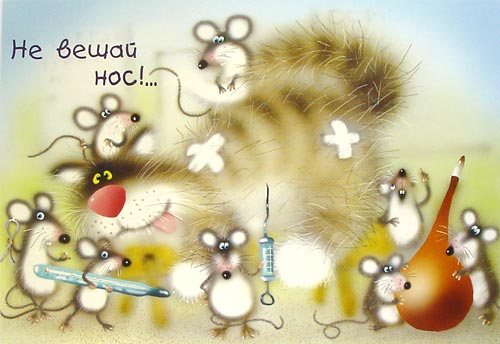Открытка. Выздоравливай! Не вешай нос!