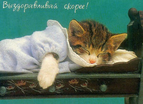 Картинка. Выздоравливай! Котеночек болеет