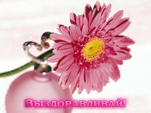 Открытки. Выздоравливай! Цветок!