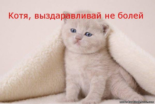 Котя, выздоравливай, не болей