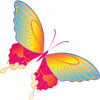  <b>Прекрасная</b> бабочка цвета радуги  гифка анимация