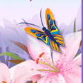 Бабочка на лилии