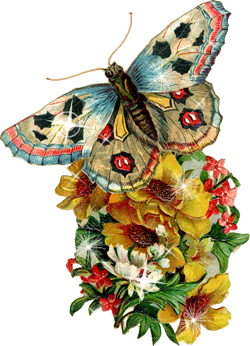 Анимированный рисунок красивой бабочки на цветах
