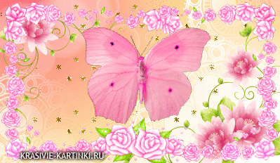 Необычная розовая бабочка на ласковом персиковом фоне