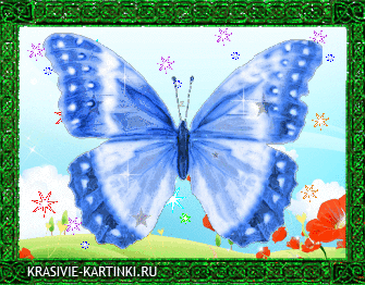 Большая синяя бабочка на анимированном летнем рисунке. Со...