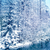  Зима, <b>снег</b>, природа, лес в <b>снегу</b>  гифка анимация