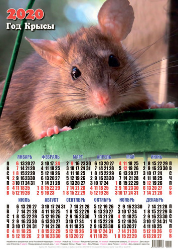 Календарь 2020 г. Год Крысы. Мышонок