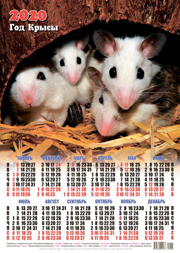 Календарь 2020 г. Год Крысы. Крысиное семейство