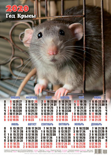 Календарь 2020 г. Год Крысы. Мышонок-красавец