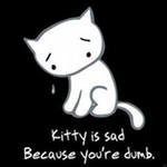 Kitty is sad because you re dumb