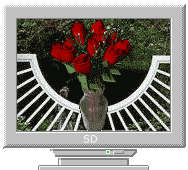 Букет роз на мониторе