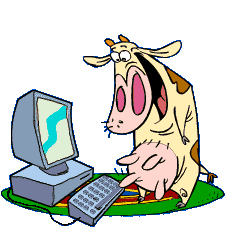 Корова за компьютером