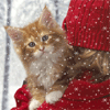  Рыжий котенок на плече у <b>девочки</b> под снегопадом  гифка анимация