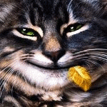  Серый кот с желтым перышком в зубах плотоядно <b>улыбается</b>  гифка анимация