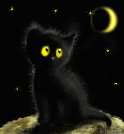  <b>Черный</b> котенок <b>черной</b> ночью  гифка анимация