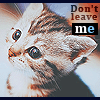 Котёнок смотрит грустными глазками (don`t leave me)