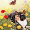  Котенок и бабочка на поляне среди <b>цветов</b>  гифка анимация