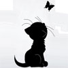  <b>Черный</b> котенок и <b>черная</b> бабочка  гифка анимация