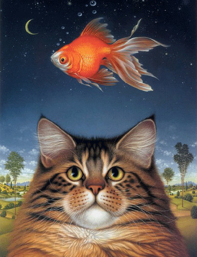 Мечты кошки о золотой рыбке