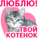 Люблю! твой котёнок